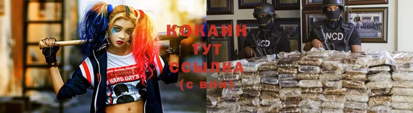 стаф Новозыбков