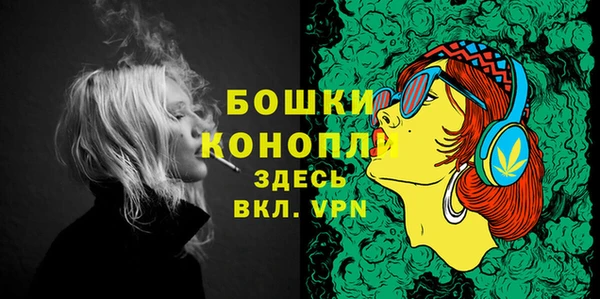 СК Няндома